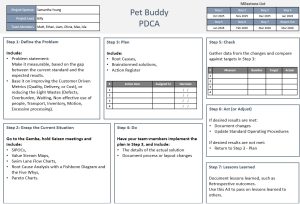 10 PDCA Template 01