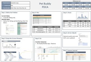 10 PDCA Template 02